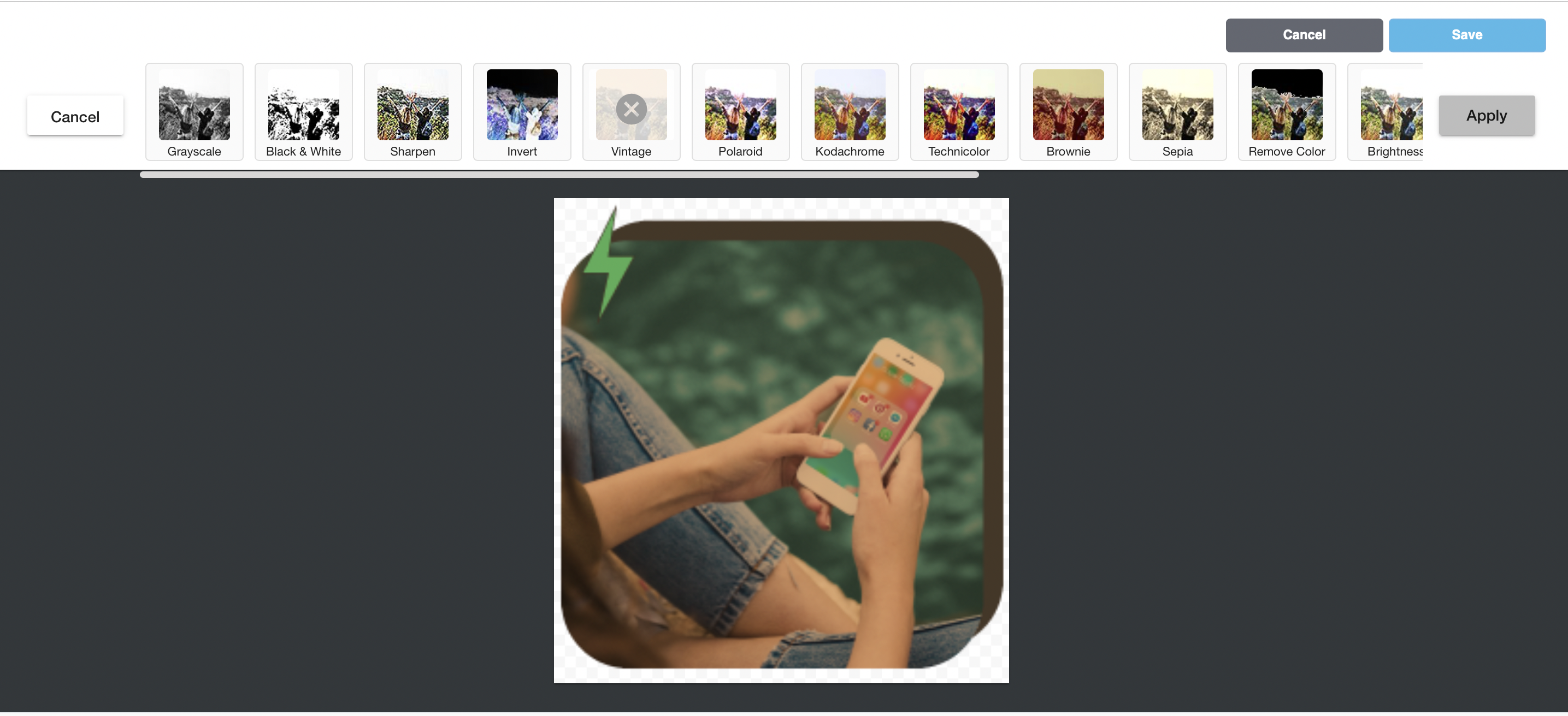 BEE Pro image filter setting